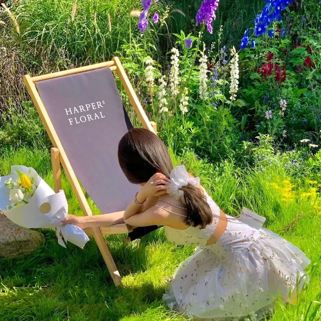 有一座有40只狗的城堡